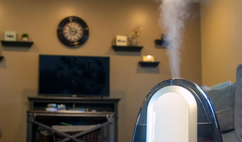 Humidifier in living room