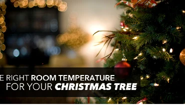 Christmas tree with text: 